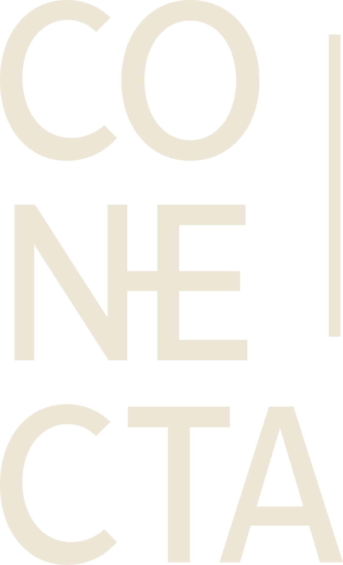 Scarpini Conecta